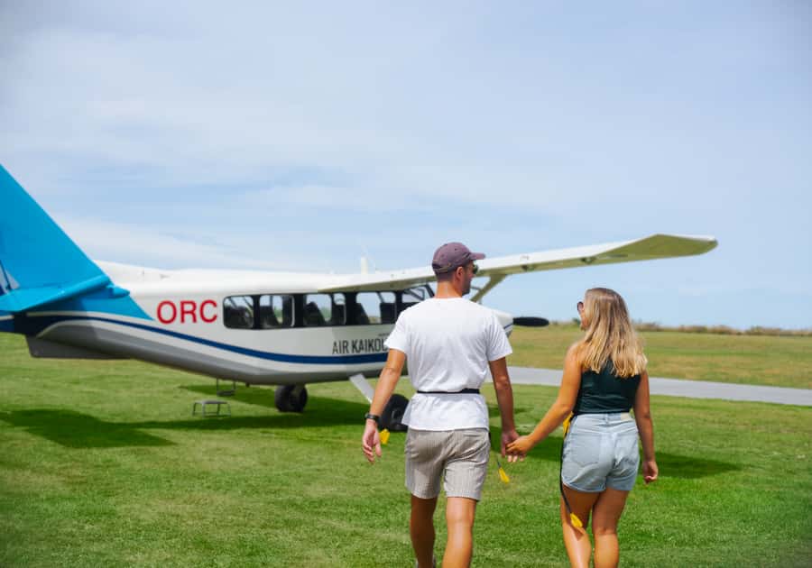 Kaikoura: Whale Watching Flight with Commentary - My advice before you reserve