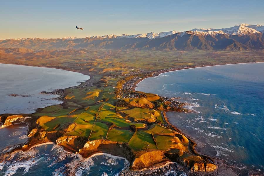 Kaikoura: Whale Watching Flight with Guided Commentary - What the 30-minute flight feels like