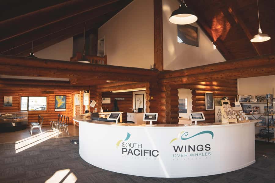 Kaikoura: Whale Watching Flight with Guided Commentary - Whale sightings from above