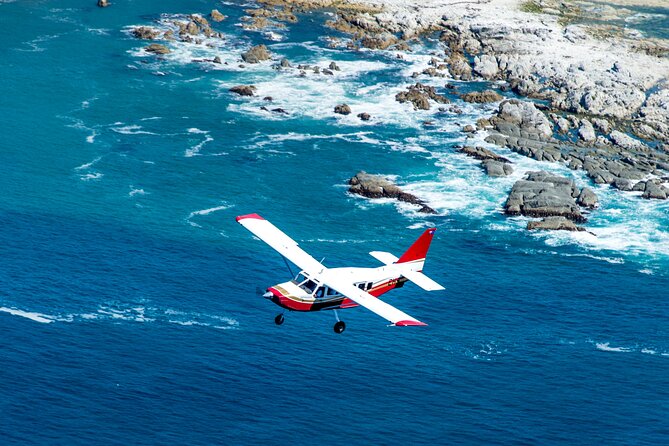 Kaikōura Whale Watching Scenic Flight (40 Minutes) - Is $170.66 a fair price?