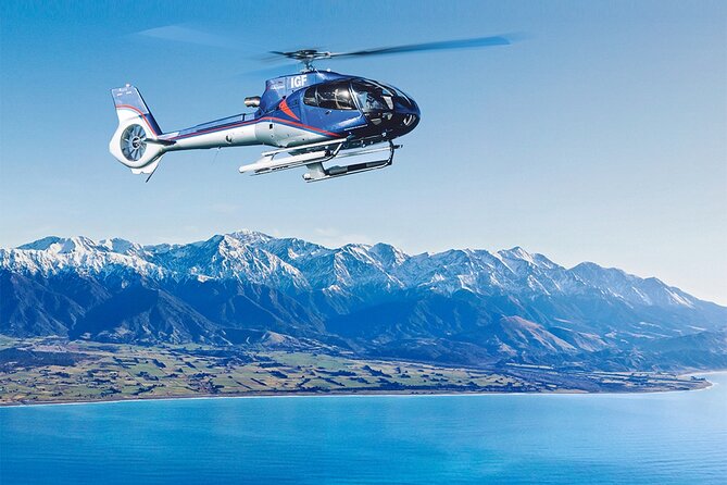 Kaikoura Whales - Check-in at Garden City Helicopters