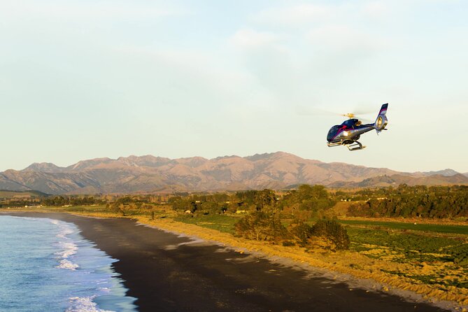 Kaikoura Whales - Forty-five minutes on the ground in Kaikoura