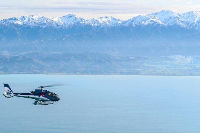 Kaikoura Whales - Weather, cancellation, and practical limits