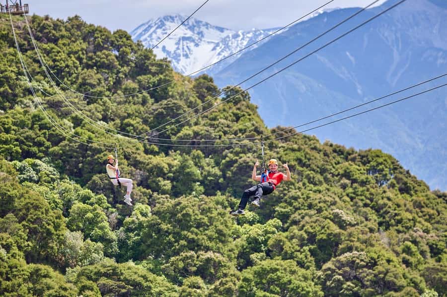 Kaikōura: Zipline and Native Forest Adventure Trip - Key points at a glance