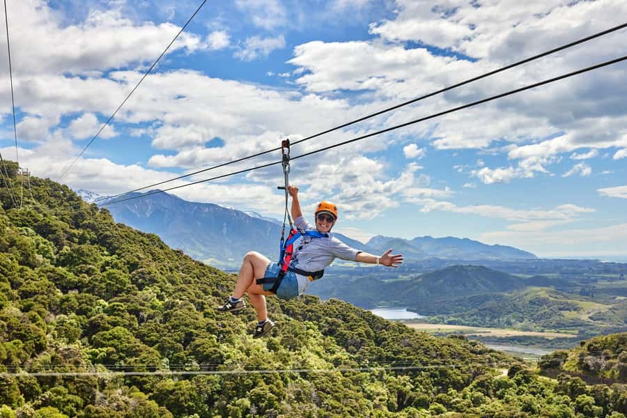 Kaikōura: Zipline and Native Forest Adventure Trip - Who should pay $118 for this?