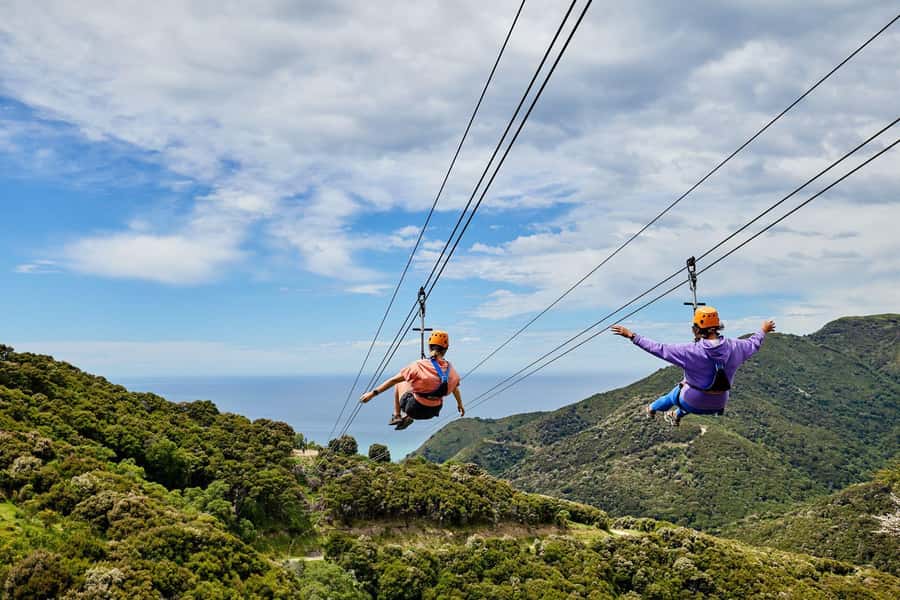 Kaikōura: Zipline and Native Forest Adventure Trip - Walking into the native forest