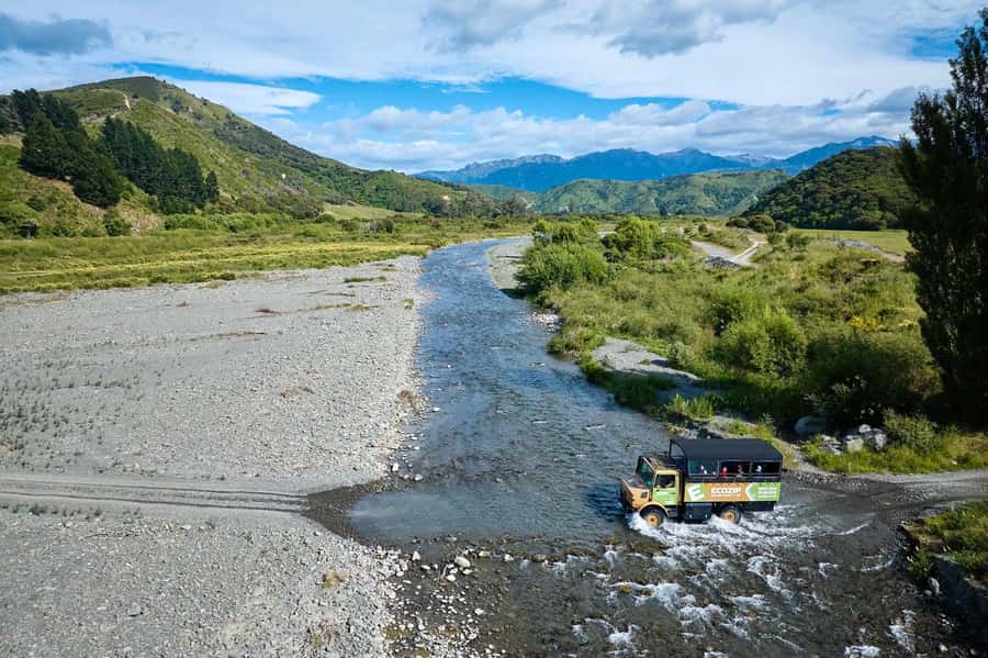 Kaikōura: Zipline and Native Forest Adventure Trip - Five flying-fox lines, from 250 to 620 metres