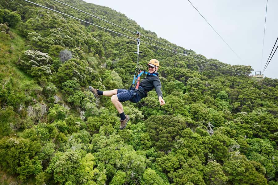 Kaikōura: Zipline and Native Forest Adventure Trip - Safety that helps nervous beginners