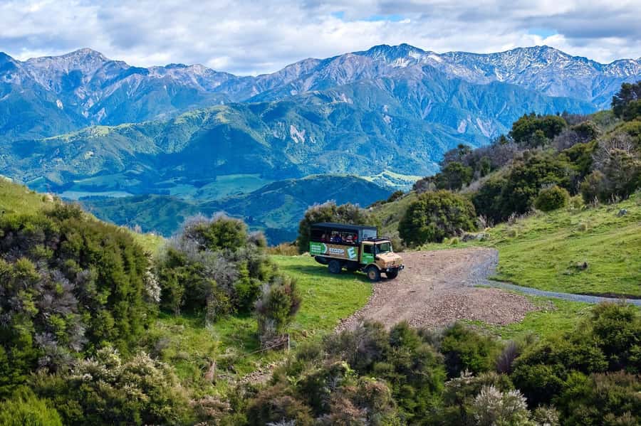 Kaikōura: Zipline and Native Forest Adventure Trip - The 4X4 ride through Rakanui Station