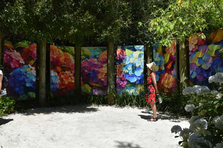 Kaipara Coast Sculpture Gardens Entry Ticket - Key points to know before you go