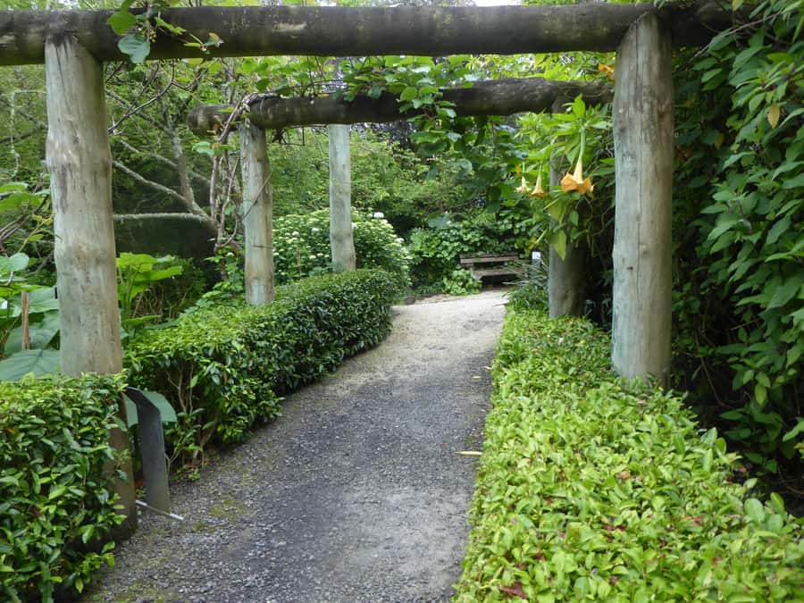 Kaipara Coast Sculpture Gardens Entry Ticket - Why Kaipara Coast works as a short Auckland outing