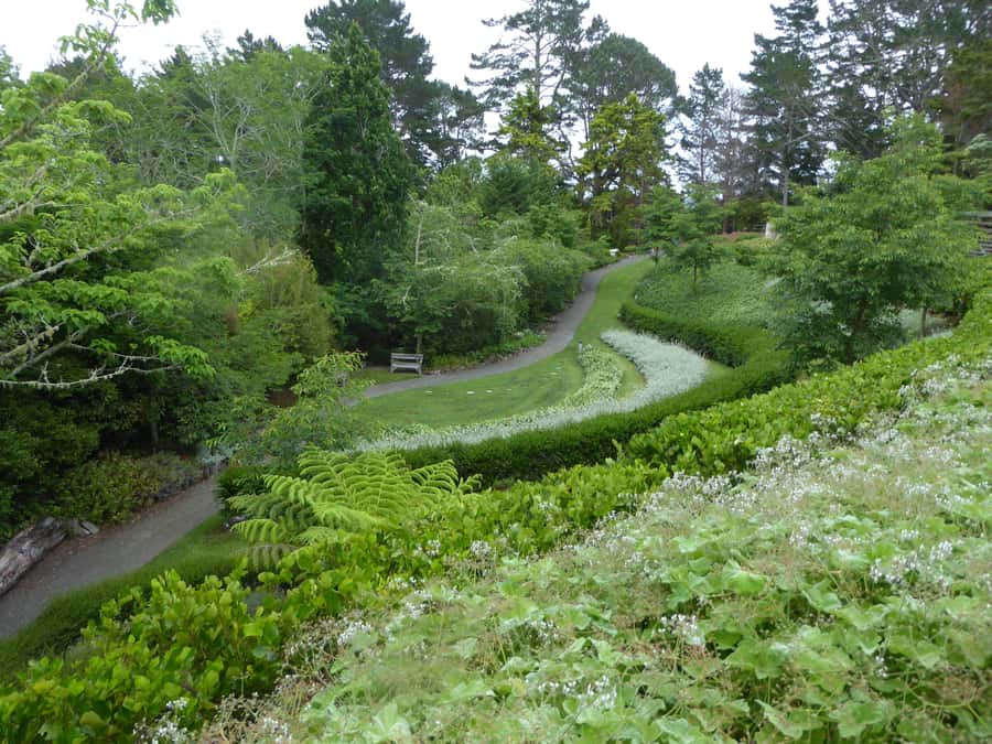 Kaipara Coast Sculpture Gardens Entry Ticket - Follow the 1-kilometer sculpture trail