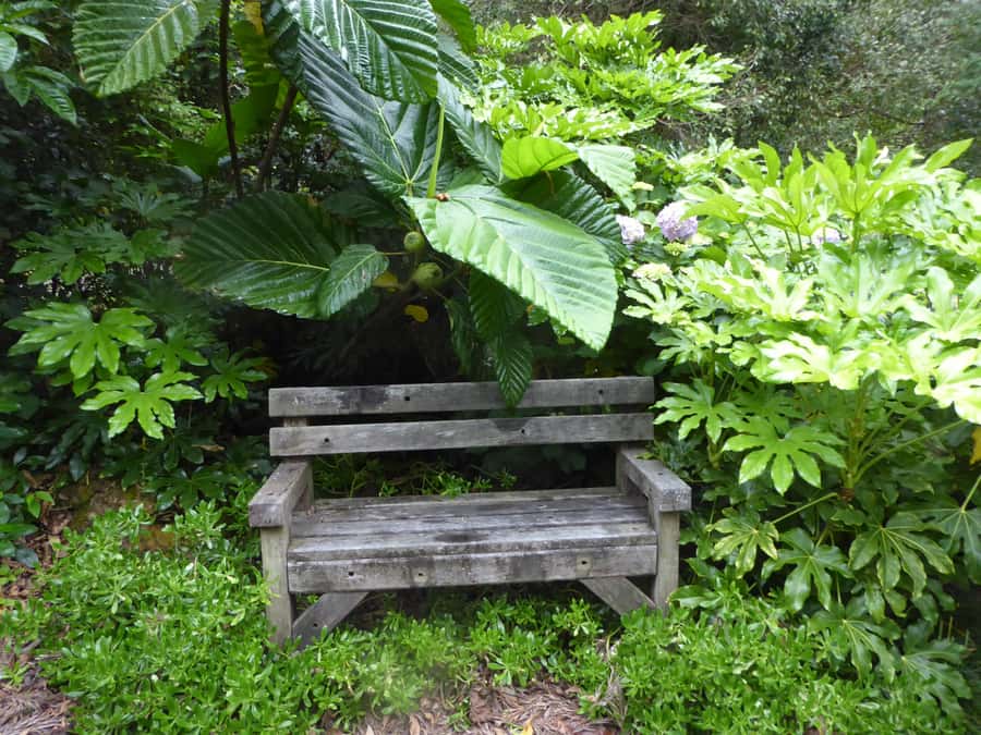 Kaipara Coast Sculpture Gardens Entry Ticket - Continue into the 2.5 kilometers of forest tracks