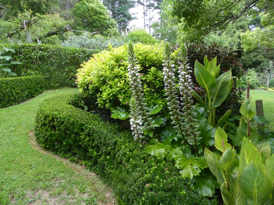 Kaipara Coast Sculpture Gardens Entry Ticket - Who will enjoy this garden walk?