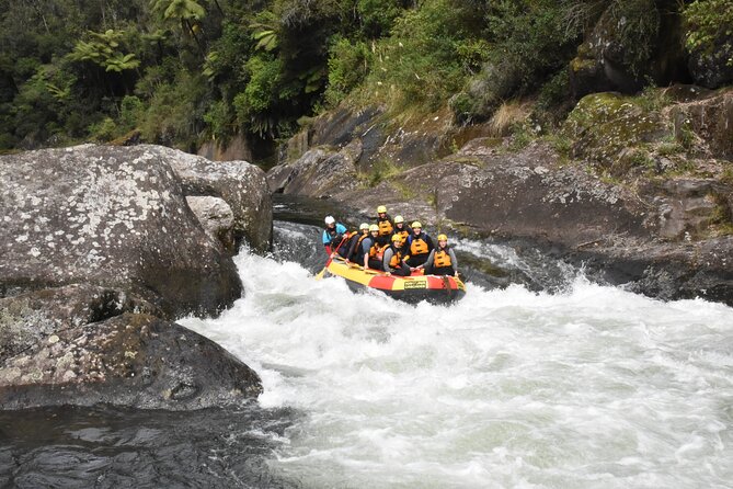 Kaituna Cascades - Grade 5 Wairoa River near Tauranga - The Waterfall drops three meters into the river