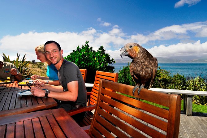 Kapiti Island Classic Guided Day Tour - Key points to know before you book