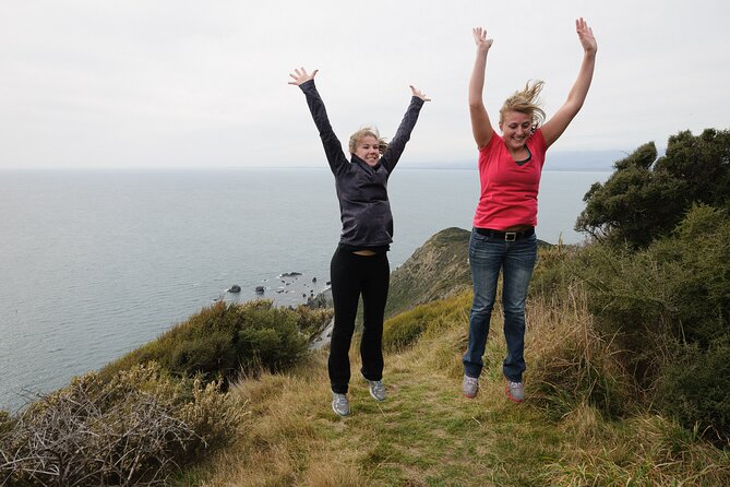 Kapiti Island Classic Guided Day Tour - Why Kapiti Island makes a good Wellington side trip