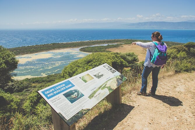 Kapiti Island: Classic Guided Day Tour - Reaching Waiorua Bay by ferry