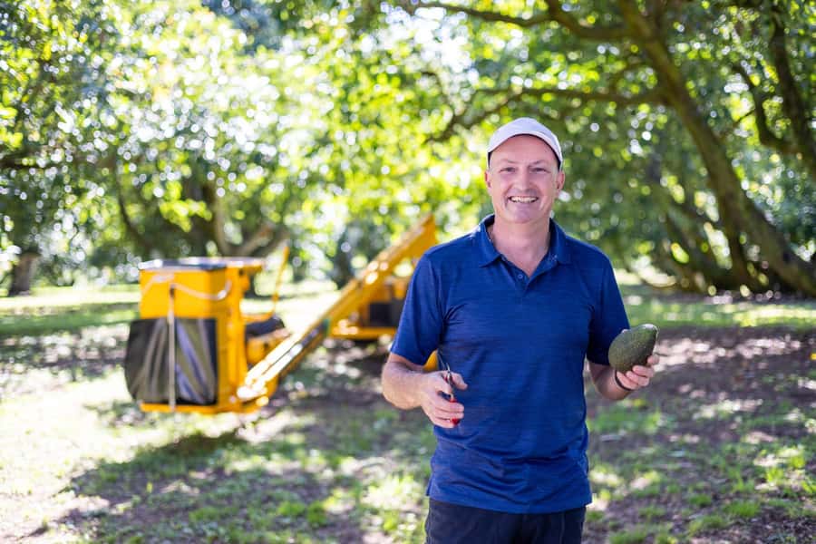 Katikati: Guided Avocado Adventures with Tasty Treats - Key things to know before you go