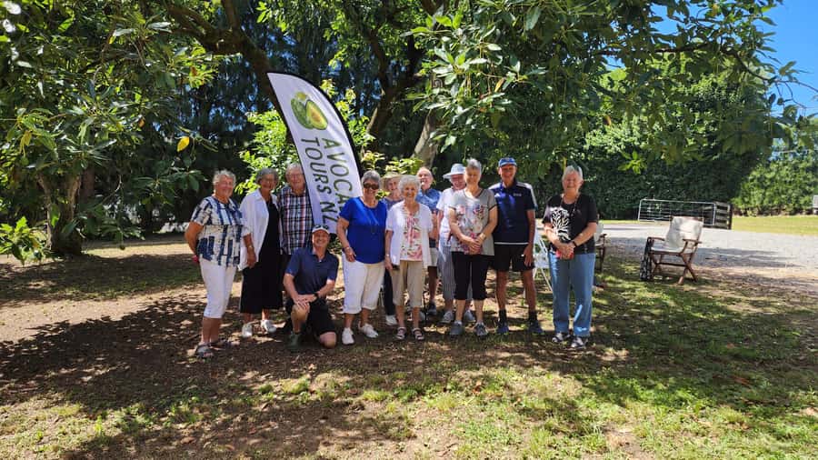 Katikati: Guided Avocado Adventures with Tasty Treats - Why this Katikati orchard tour is worth your time