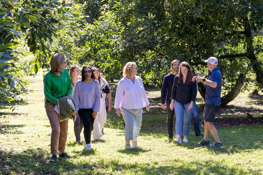 Katikati: Guided Gourmet Avocado Tour - Booking flexibility and the final call