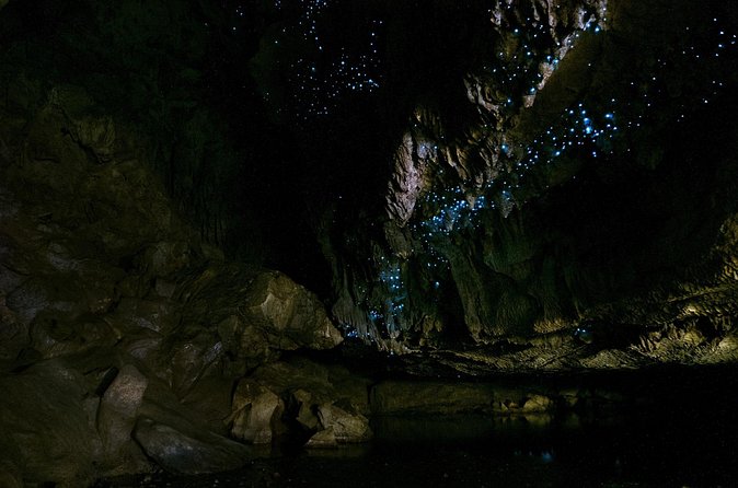 Kawiti Family Glowworm Caves Guided Tour in Bay of Islands - How the group size affects the visit