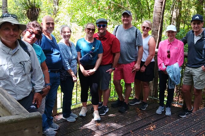 Kawiti Glow Worm Cave Tour & Opua Forest Walk - Is $148.94 good value?