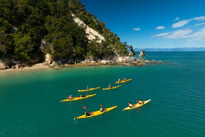 Kayak & Walk - The real value of $142.73