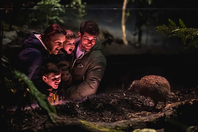 Kiwi Park Queenstown Admission - Plan the day around the kiwi encounter