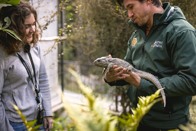 Kiwi Park Queenstown Admission - A forest walk with birds, water, and audio stories