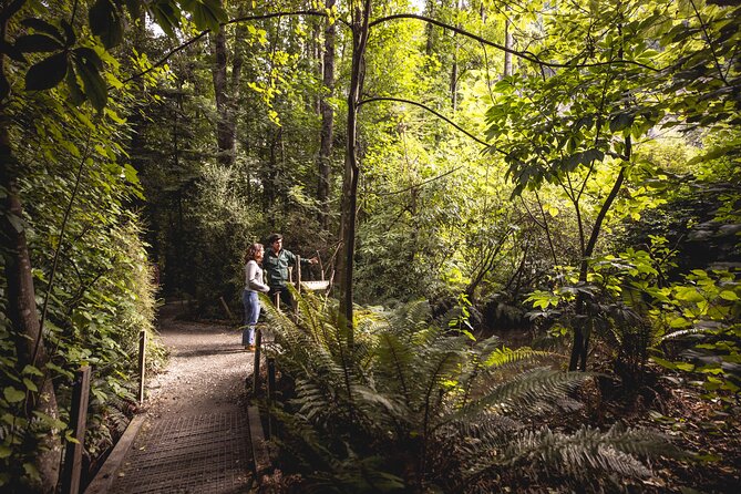 Kiwi Park Queenstown Admission - Native species you may not spot in the wild