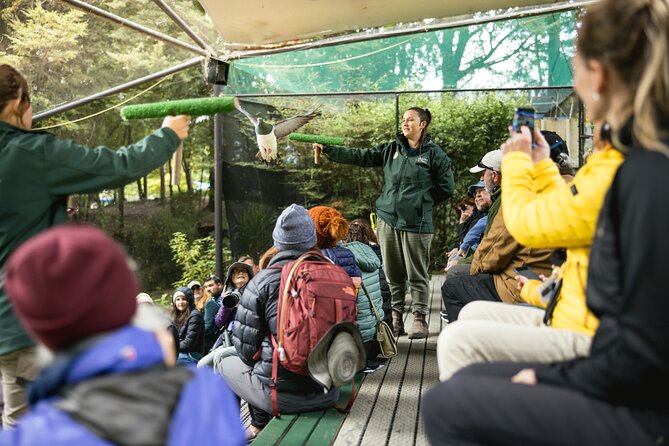 Kiwi Park Queenstown Admission - Is $39.72 good value for a small park?