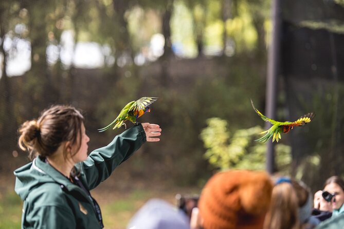 Kiwi Park Queenstown Admission - The practical way to visit