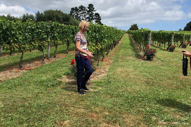 Kumeu Wine Tour - From Auckland city to Kumeu’s vineyards