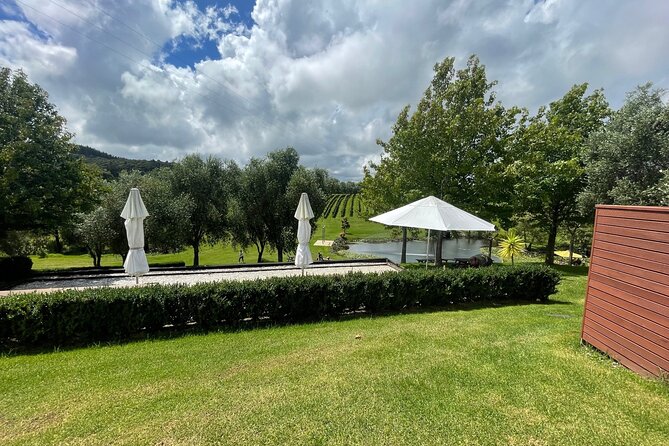 Kumeu Wine Tour - Soljans Estate: a family-run first taste