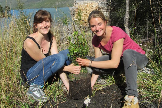 Lake Cruise & Mou Waho Island Nature Walk - Key points to know before you book