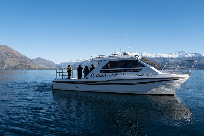 Lake Cruise & Mou Waho Island Nature Walk - Why Mou Waho feels different from a standard lake cruise