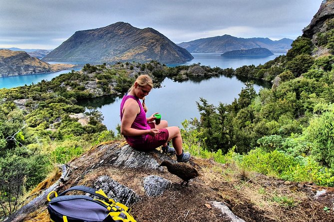 Lake Cruise & Mou Waho Island Nature Walk - Looking for buff weka in a predator-free reserve