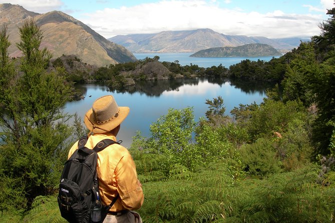 Lake Cruise & Mou Waho Island Nature Walk - Crossing Lake Wanaka from Wānaka Marina