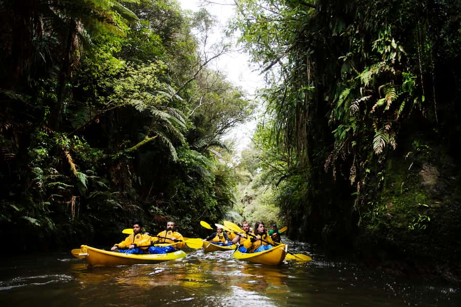 Lake Karapiro: Evening Kayak Glowworm Tour - Key points before you book