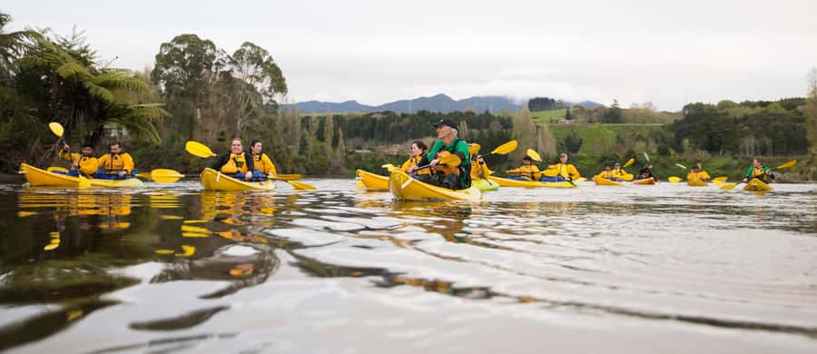 Lake Karapiro: Evening Kayak Glowworm Tour - From Riverside Adventures Base to Lake Karapiro
