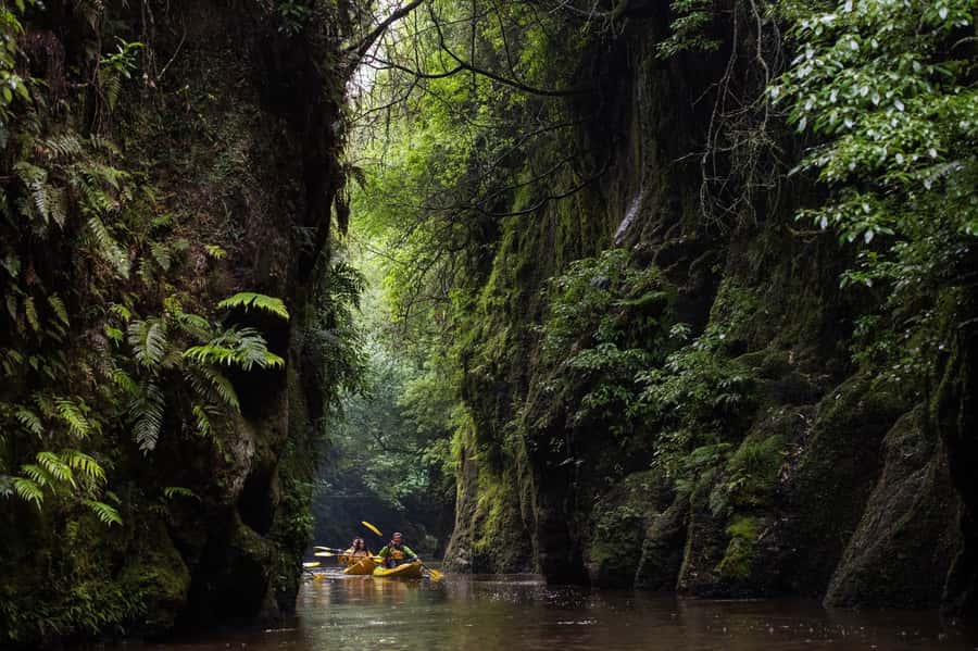 Lake Karapiro: Evening Kayak Glowworm Tour - Up the Pokaiwhenua Stream and into the canyon