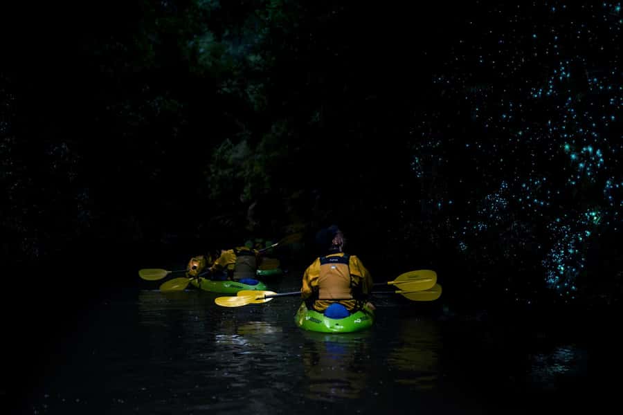 Lake Karapiro: Evening Kayak Glowworm Tour - The glowworm section, when the lights go out