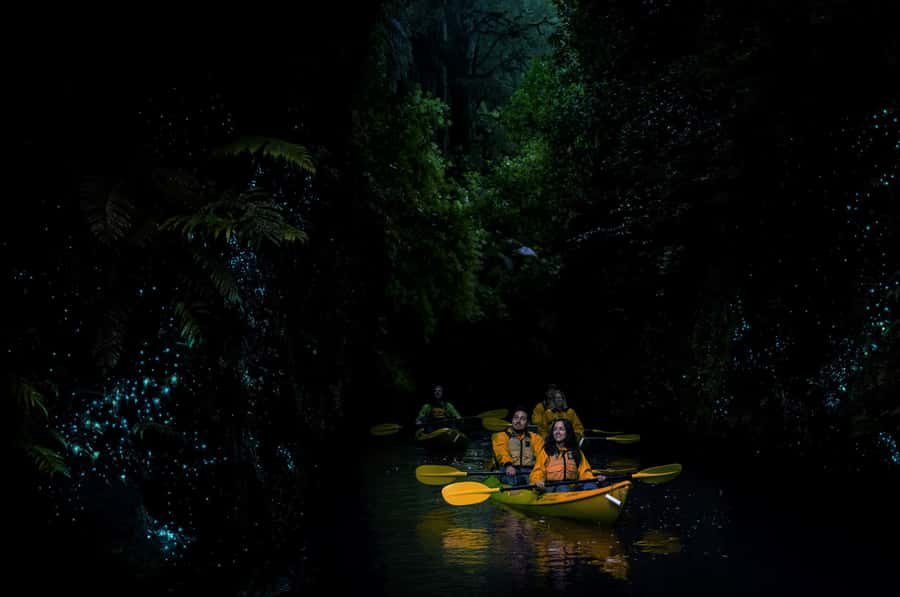 Lake Karapiro: Evening Kayak Glowworm Tour - Returning to base in complete darkness