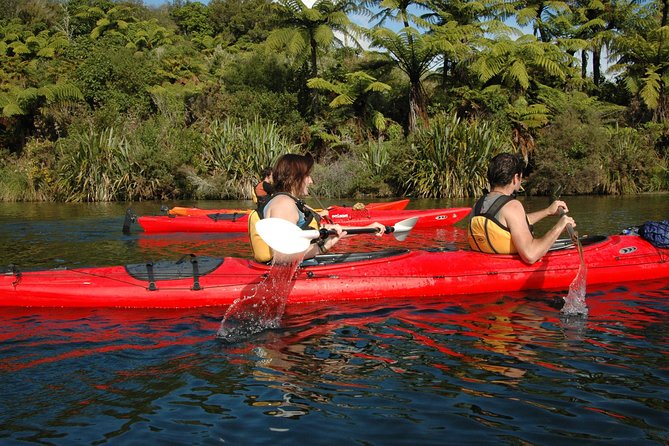 Lake Rotoiti Evening Kayak Tour including Hot Springs, Glowworm Caves and BBQ Dinner - Glowworm caves reached only from the water