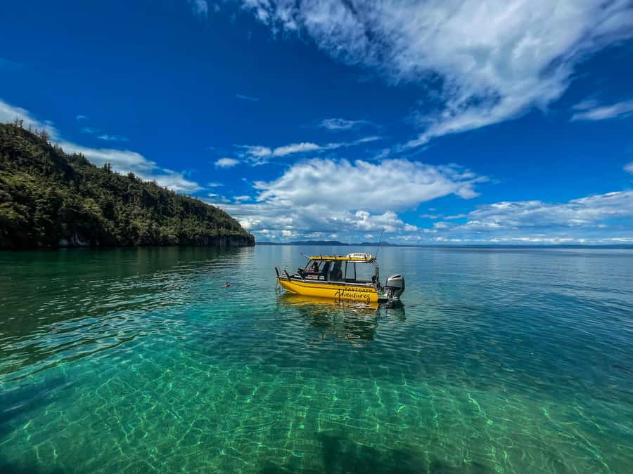 Lake Taupo Explorer Sightseeing Cruise with seasonal swim - Waihaha Bay and the seasonal swim at Te Papa Bay