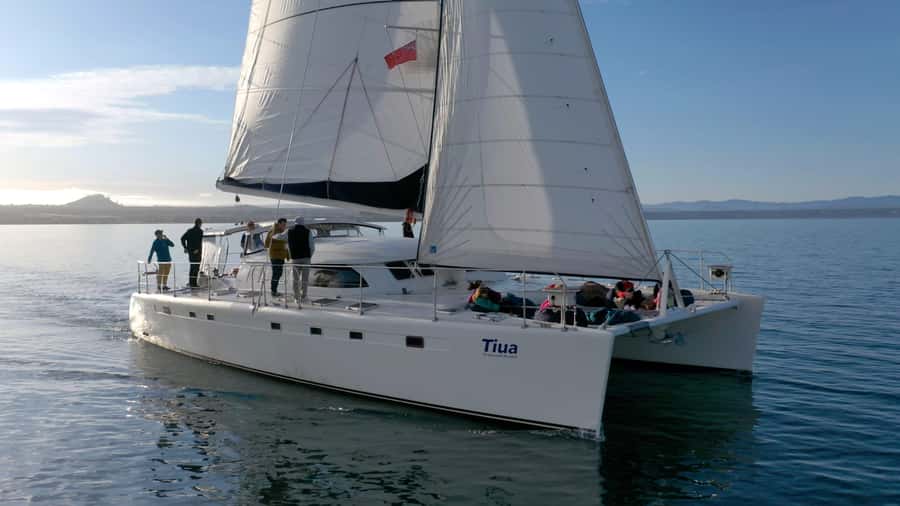 Lake Taupo: Luxury Sailing Catamaran to Māori Rock Carvings - Seeing the Māori Rock Carvings from the water