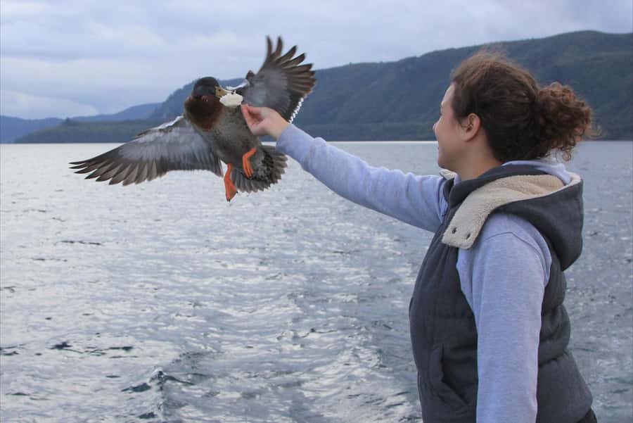 Lake Taupo: Maori Rock Carvings 10.30 AM 1.5-Hour Cruise - The optional fishing demonstration