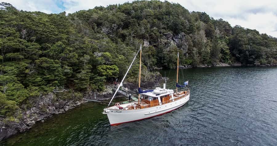 Lake Te Anau: 3-Hour Boat Cruise with Guided Walk - How the guides shape the experience