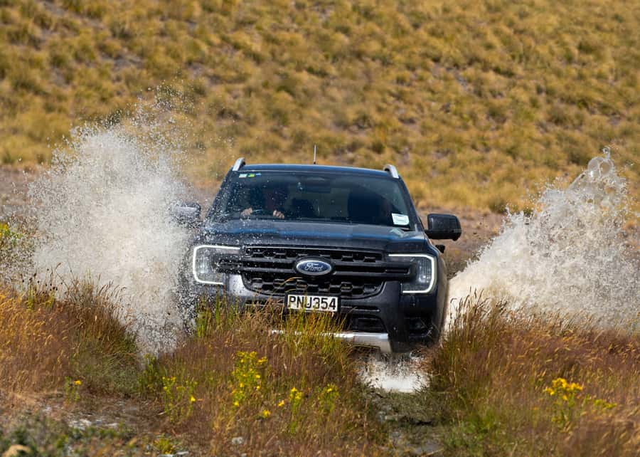 Lake Tekapo Guided 4WD Tours (Small Group, Carbon Positive) - Meeting a working Merino sheep station